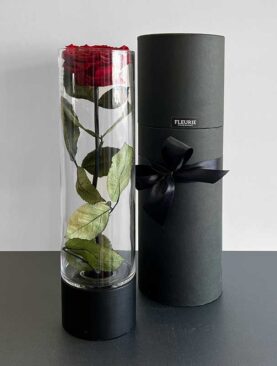 Eternal Rose Vase - L