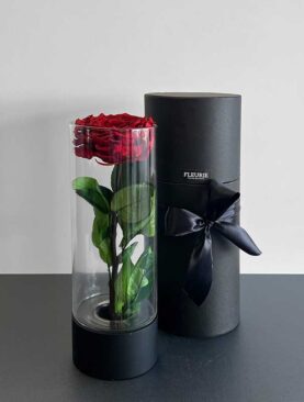 Eternal Rose Vase - M