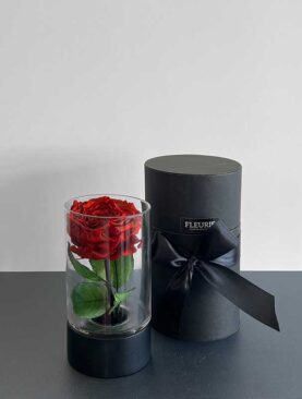 Eternal Rose Vase - S